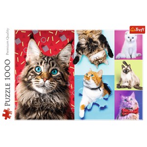 Trefl (10591) - "Happy cats" - 1000 piezas