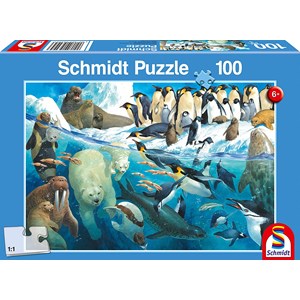 Schmidt Spiele (56295) - "Polar Animals Circle" - 100 piezas