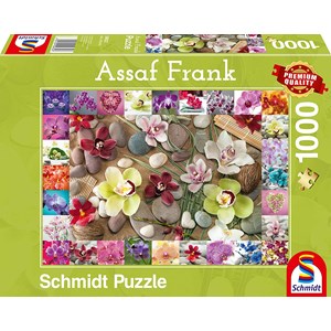Schmidt Spiele (59632) - Assaf Frank: "Orchids" - 1000 piezas