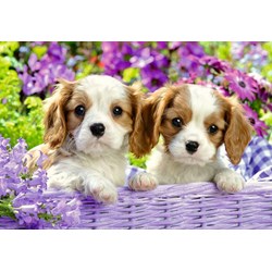 Ravensburger (05029) - "Me and My Pal" - 24 piezas