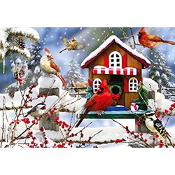 Ravensburger (13591) - "The Lodge" - 300 piezas