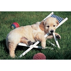 Ravensburger (14956) - "Easy Cuddly" - 204 piezas