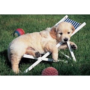 Ravensburger (14956) - "Easy Cuddly" - 204 piezas