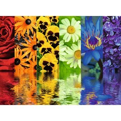 Ravensburger (16446) - "Floral Reflections" - 500 piezas