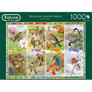 Falcon (11157) - "Seasonal Garden Birds" - 1000 piezas