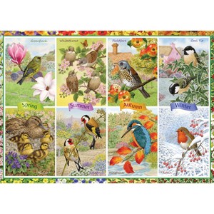 Falcon (11157) - "Seasonal Garden Birds" - 1000 piezas