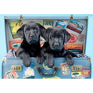 Anatolian (3601) - "The trunk with puppies" - 500 piezas