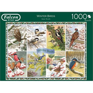 Falcon (11234) - Anne Searle: "Winter Birds" - 1000 piezas