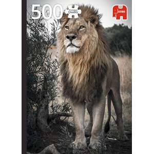 Jumbo (18523) - "Proud Lion" - 500 piezas