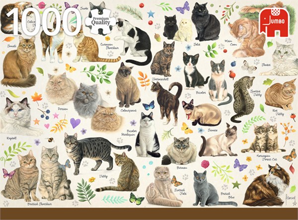 Jumbo (18595) - Francien van Westering: "Cats Poster" - 1000 piezas