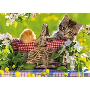 Jumbo (18801) - "Ready for a Picnic" - 500 piezas