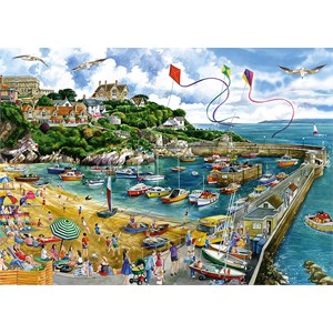 Falcon (11290) - Fiona Osbaldstone: "Newquay Harbour" - 1000 piezas