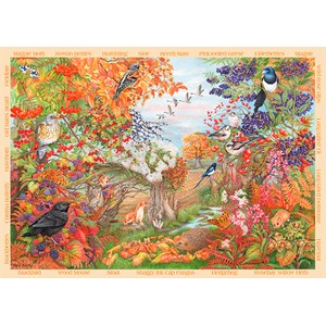 Falcon (11270) - Anne Searle: "Autumn Hedgerow" - 500 piezas