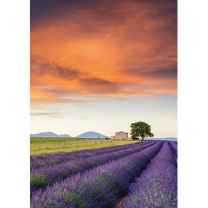 Schmidt Spiele (58364) - "Field of Lavender, Provence" - 500 piezas