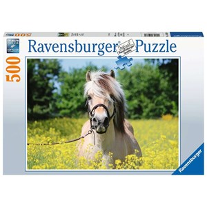 Ravensburger (15038) - "White horse" - 500 piezas