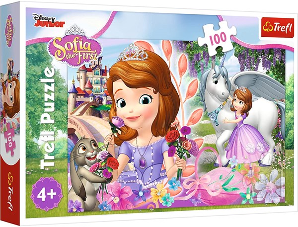 Trefl (16344) - "In a kingdom of adventures" - 100 piezas