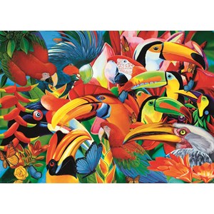 Trefl (37328) - "Colourful birds" - 500 piezas