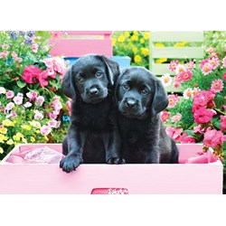 Eurographics (8500-5462) - "Black Labs in Pink Box" - 500 piezas