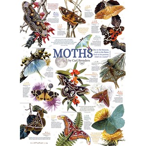 Cobble Hill (80016) - Carl Brenders: "Moth Collection" - 1000 piezas