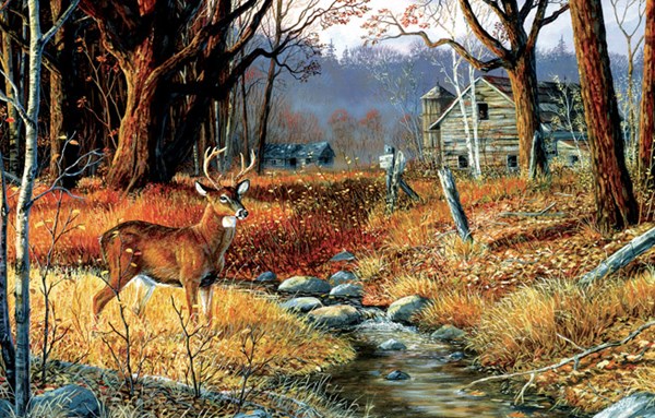 SunsOut (71246) - Terry Doughty: "Forgotten Valley" - 1000 piezas