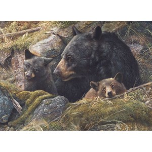 Cobble Hill (80012) - "Twice the Love" - 1000 piezas