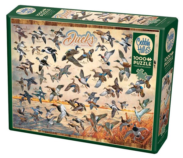 Cobble Hill (80263) - David A. Maass: "Ducks of North America" - 1000 piezas