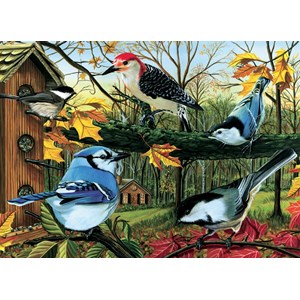Cobble Hill (80053) - "Blue Jay And Friends" - 1000 piezas