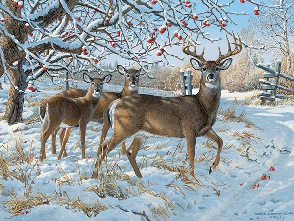 Cobble Hill (57196) - Persis Clayton Weirs: "Winter Deer" - 1000 piezas
