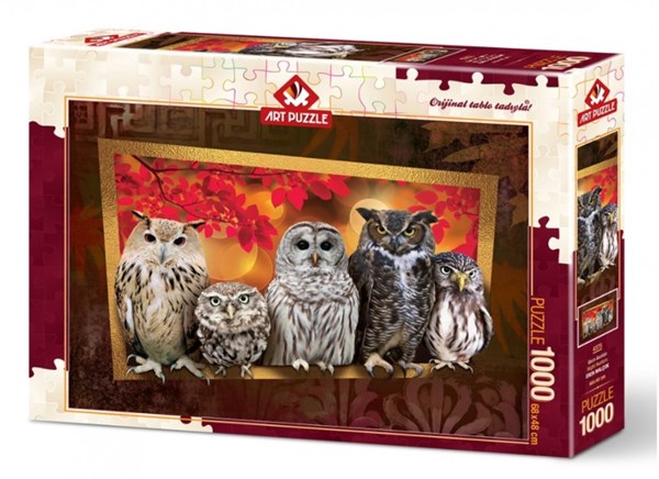 Art Puzzle (4375) - "Owls" - 1000 piezas