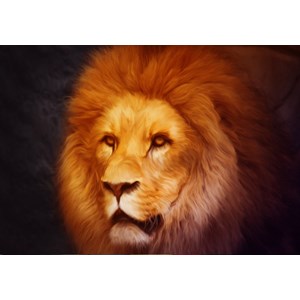 Grafika (01486) - "Lion" - 1000 piezas