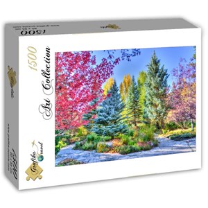 Grafika (t-00852) - "Colorful Forest, Colorado, USA" - 1500 piezas