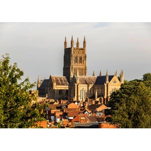 Grafika (t-00936) - "Worcester Cathedral viewed from Fort Royal Park" - 1500 piezas