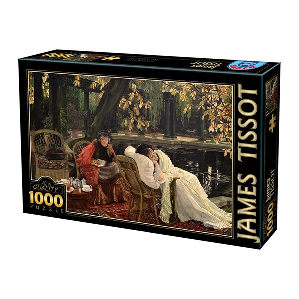 D-Toys (75079) - James Tissot: "A Convalescent" - 1000 piezas