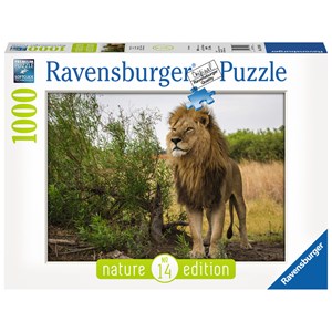 Ravensburger (15160) - "Proud lion" - 1000 piezas