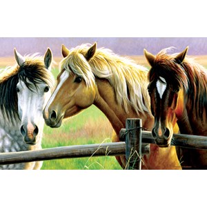 SunsOut (70922) - Cynthie Fisher: "Horse Fence" - 1000 piezas