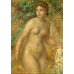 Grafika (01875) - Pierre-Auguste Renoir: "Nude, 1895" - 1000 piezas