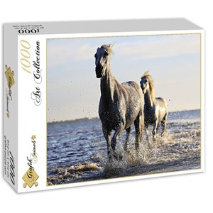 Grafika (01693) - "Horses" - 1000 piezas