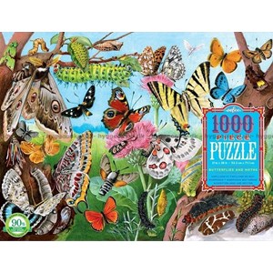 eeBoo (EPZTBLM) - "Butterflies and Moths" - 1000 piezas