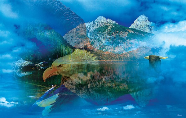 SunsOut (50777) - Gordon Semmens: "Eagle Dreamscape" - 550 piezas