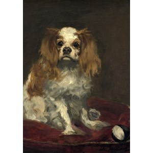 Grafika (01707) - Edouard Manet: "A King Charles Spaniel, 1866" - 1000 piezas