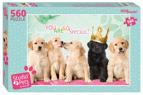 Step Puzzle (97054) - "Studio Pets" - 560 piezas