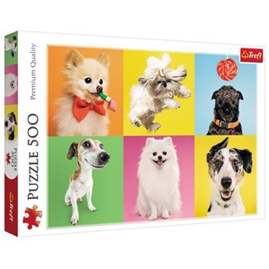 Trefl (37378) - "Dogs" - 500 piezas