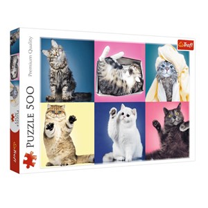 Trefl (37377) - "Kittens" - 500 piezas