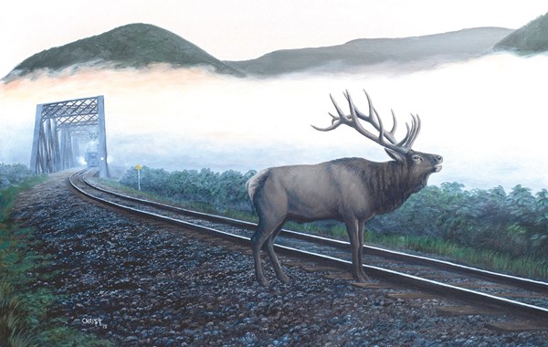 SunsOut (48856) - Dan Christ: "Elk Tracks" - 550 piezas