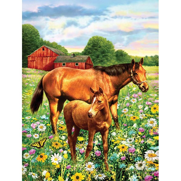 SunsOut (37174) - Greg Giordano: "Mare and Foal" - 500 piezas