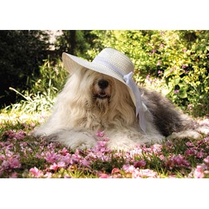 Jumbo (18515) - "Sophie the Dog" - 200 piezas