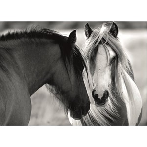 Dino (53261) - "Black and White Horses" - 1000 piezas