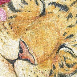 Pintoo (h2146) - Cotton Lion: "Goodnight Tiger" - 1000 piezas