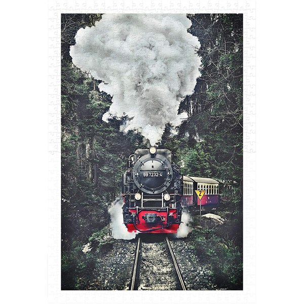 Pintoo (h2159) - "The Steam Train, Switzerland" - 600 piezas