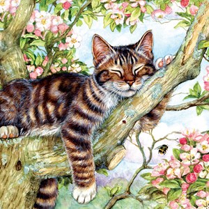 SunsOut (50423) - Debbie Cook: "Sleepy Cat" - 500 piezas